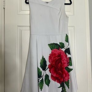Banana Republic Ivory Dress with Red Floral Pattern